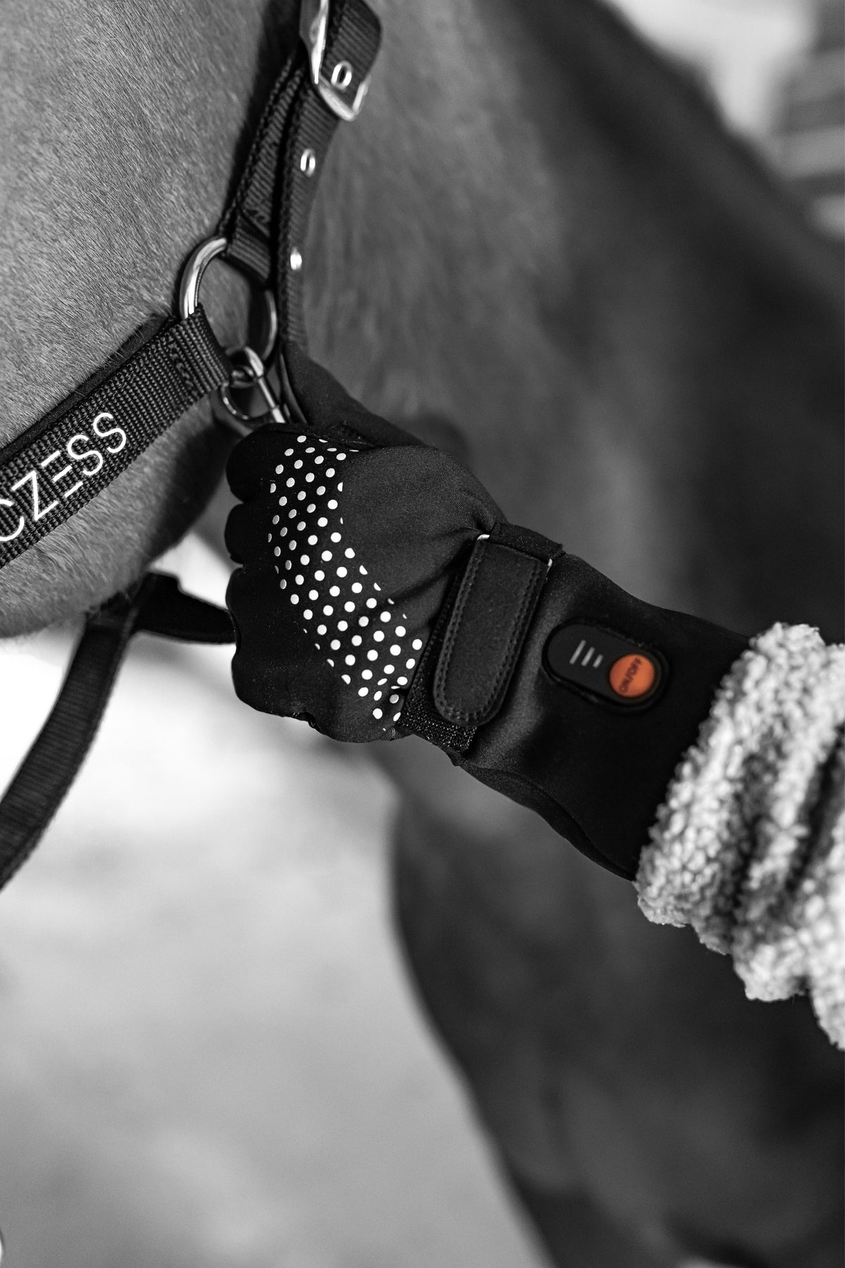 Heated Winter Glove