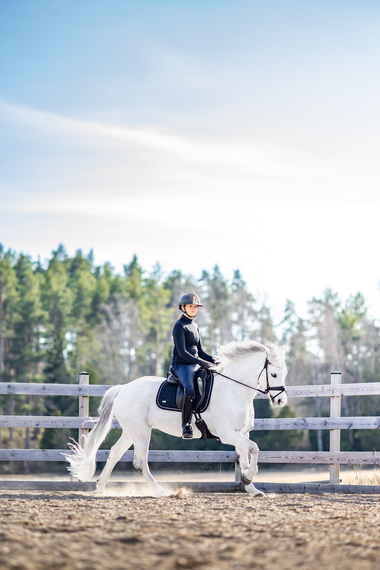 Dressage Black Edition