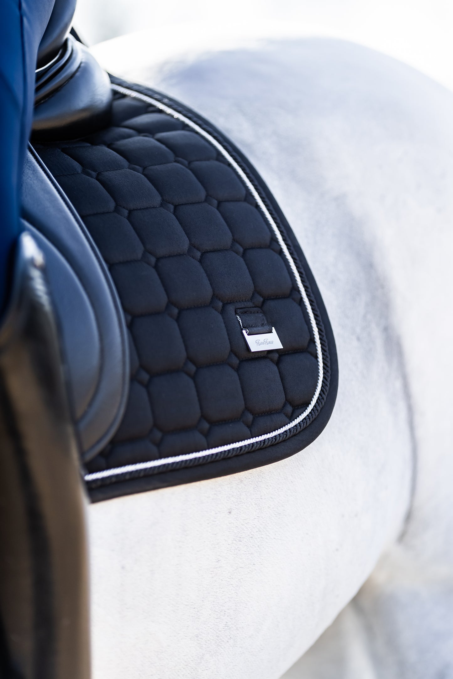 Dressage Black Edition