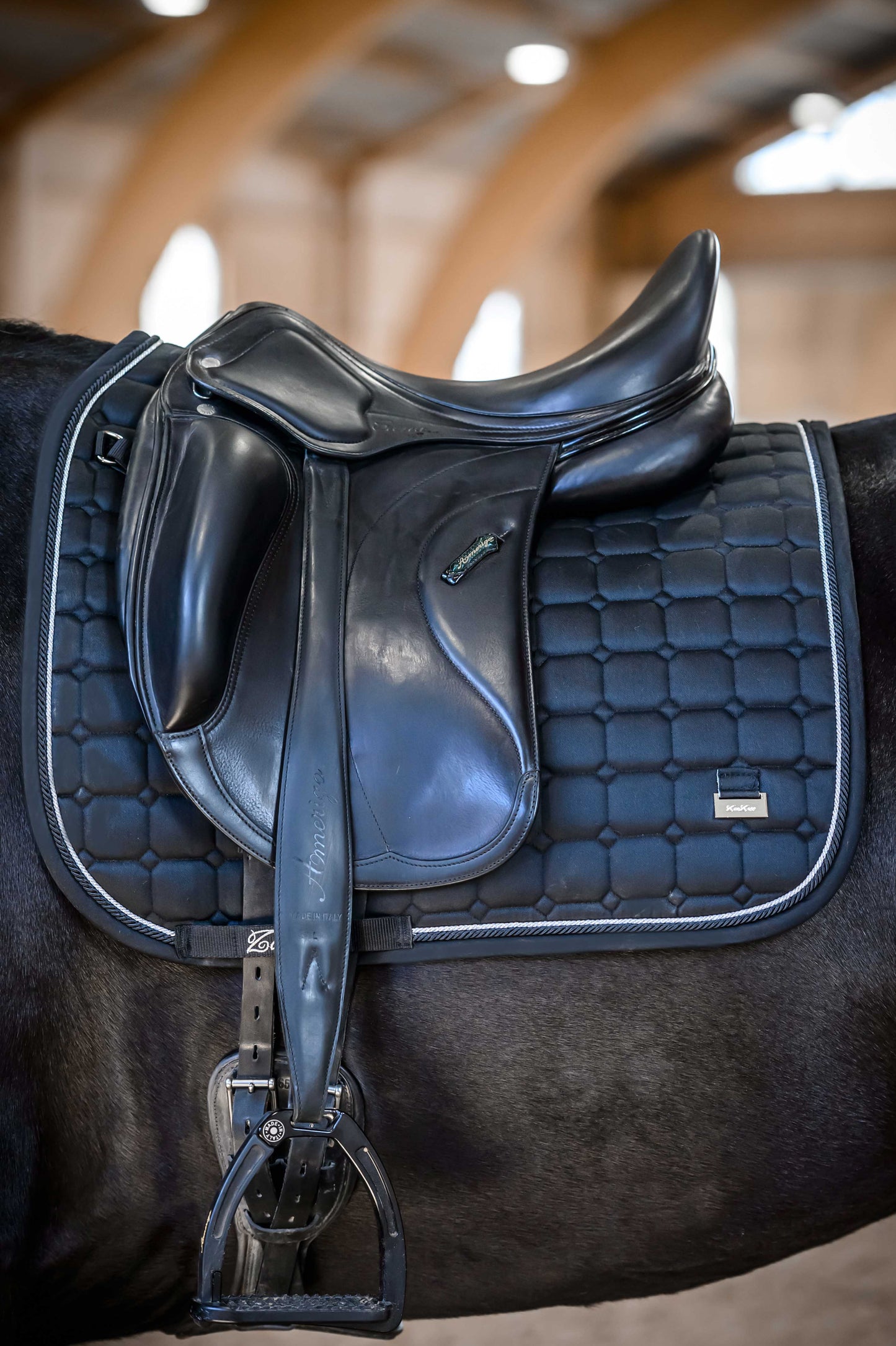 Dressage Black Edition
